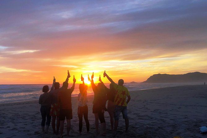 5-Day Garden Route & Addo Adventure from Cape Town to Port Elizabeth - What the $641.27 price covers