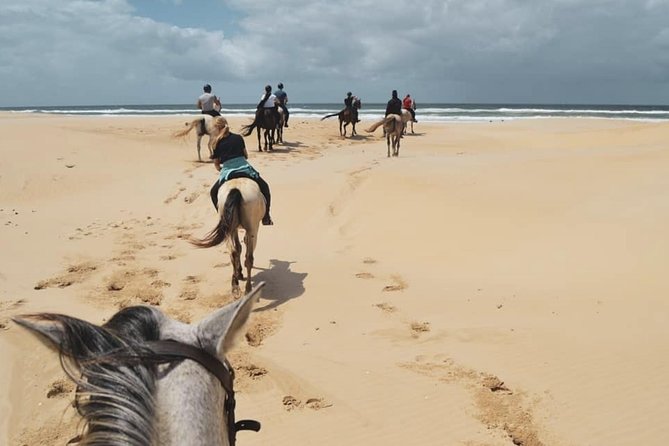 5 Day Garden Route and Addo Safari - Best of South Africa Small Group Tour - Accommodation choices and what they really mean