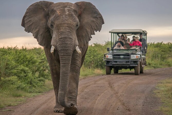 5 Day Garden Route and Addo Safari - Best of South Africa Small Group Tour - Day two: Ostriches, Cango Caves, and Addo country