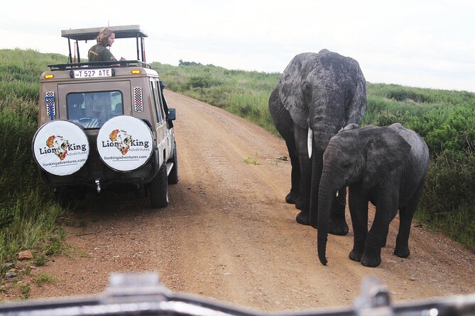5-Day Highlights mid-Range Crater, Serengeti, Tarangire - Day 2: Tarangire brings elephants and baobabs