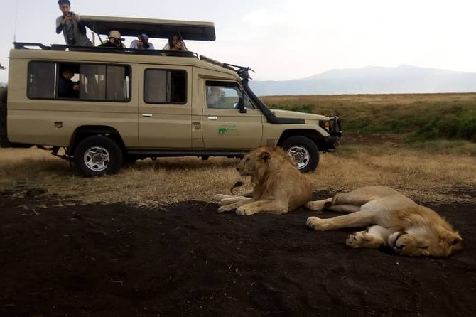 5 Day Silver Serengeti & Ngorongoro Crater & Tarangire Safari - Day 2: Reaching the endless plains of Serengeti