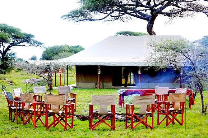 5 Days 4 Nights Tarangire, Serengeti , Ngorongoro & Manyara Wildlife Safari - Day 3: A dawn game drive and another look at Serengeti