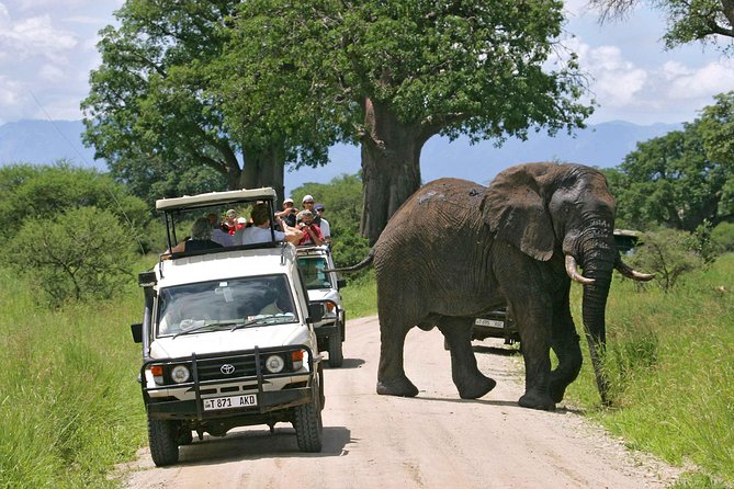 5 Days 4 Nights Tarangire, Serengeti , Ngorongoro & Manyara Wildlife Safari - Day 4: Ngorongoro Crater and Lake Magadi
