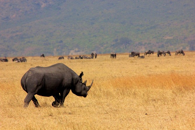 5 Days 4 Nights Tarangire, Serengeti , Ngorongoro & Manyara Wildlife Safari - Day 5: Lake Manyara’s forests, flamingos, and birds