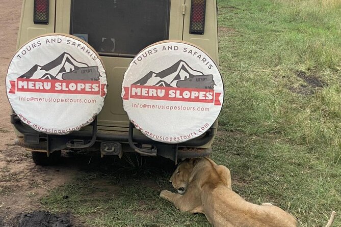 5 Days Camping Tarangire, Serengeti & Ngorongoro crater & Visiting Maasai - What the $1,254 price really covers