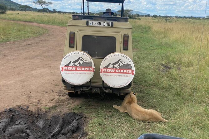 5 Days Camping Tarangire, Serengeti & Ngorongoro crater & Visiting Maasai - Day three: a full day among Serengeti wildlife