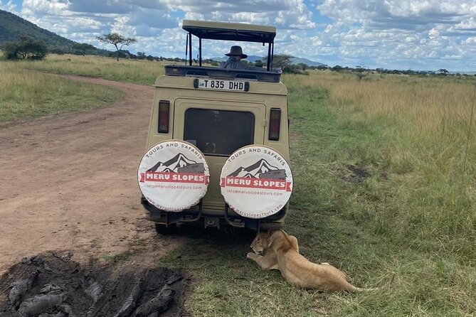 5 Days Camping Tarangire, Serengeti & Ngorongoro crater & Visiting Maasai - Day five: Ngorongoro Crater’s compact wildlife viewing
