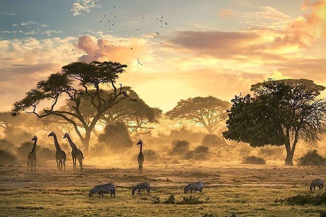 5 Days Camping Tarangire, Serengeti & Ngorongoro crater & Visiting Maasai - Camping comfort, food, and the people who make it work