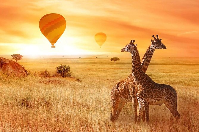 5 Days Private Safari- Tarangire, Serengeti, Ngorongoro & Manyara - Day 2: The long road to the Serengeti