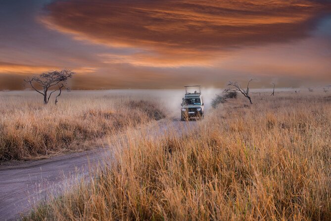 5 days safari, hiking & culture (Serengeti & kilimanjaro) - Guides, food, and the real value of the price