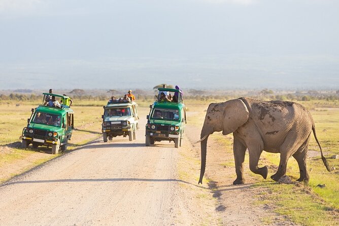 5 Days Serengeti Camping Safari - Four parks and one packed safari route