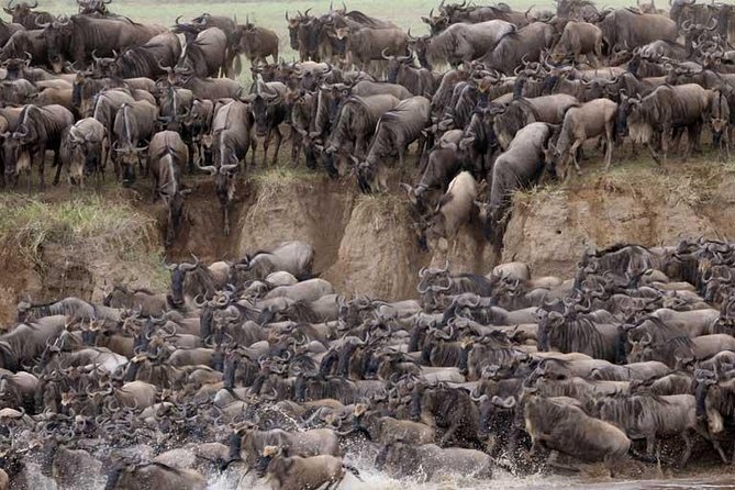 5 Days Serengeti Camping Safari - How the guides and camp team shape the experience