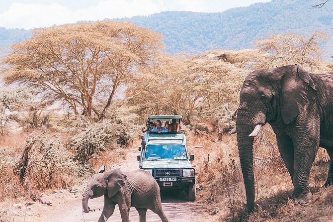 5 days serengeti, ngorongoro, tarangire & manyara lodge tour - Four parks, one tight northern Tanzania route