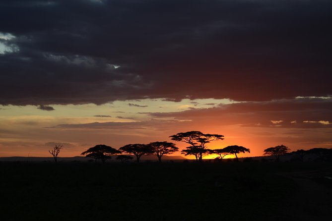 5days Tanzania Safari lodge and camping Serengeti, Tarangire & Ngorongoro Crater - Key points at a glance