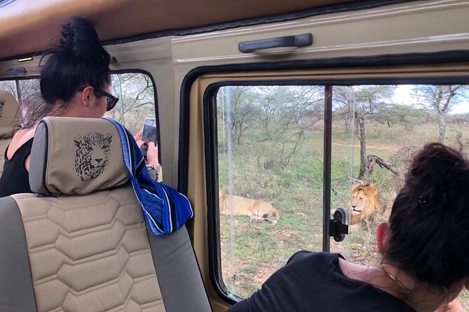 5days Tanzania Safari lodge and camping Serengeti, Tarangire & Ngorongoro Crater - Day 5: Into the crater and back to Arusha