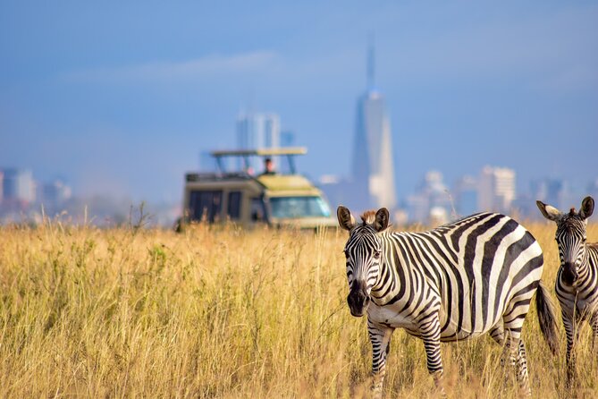 5Hrs Nairobi National Park MorningEvening gamedrive 4x4 vehicle - Pickup, airport drop-off, and timing