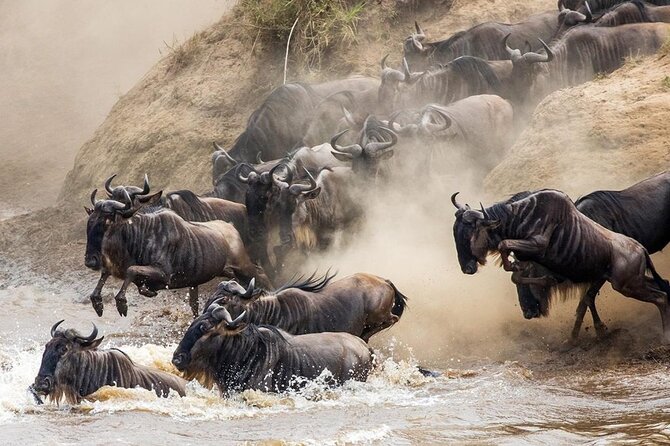 6 Days best adventure kilimanjaro ,Tarangire ,Serengeti &Ngorongoro crater - Day 5: Tarangire’s elephants and baobab country