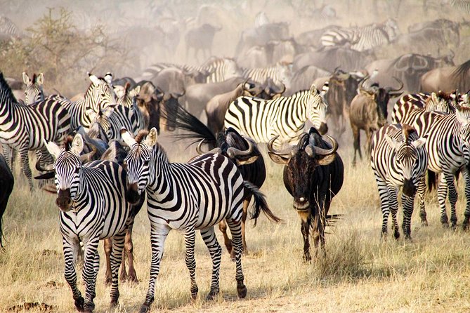6 Days best adventure kilimanjaro ,Tarangire ,Serengeti &Ngorongoro crater - Day 6: Materuni Waterfalls, Chagga food, and Chemka