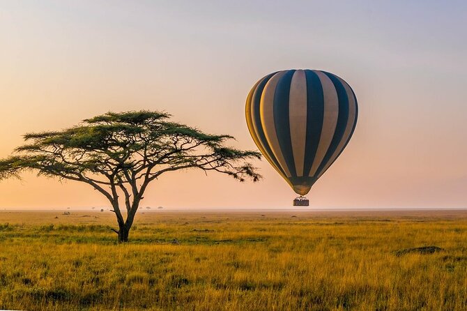 6 Days best adventure kilimanjaro ,Tarangire ,Serengeti &Ngorongoro crater - Day 2: The long road to the Serengeti