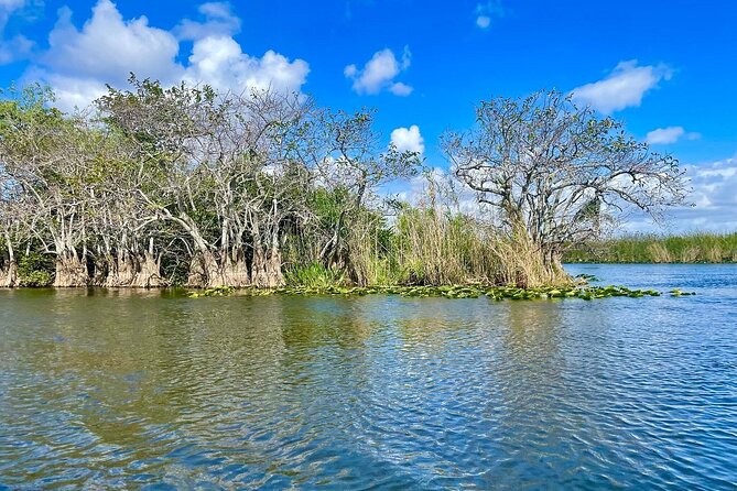 60 min. Everglades Airboat ride & pick-up ,small group +pro guide - Pickup rules require close attention
