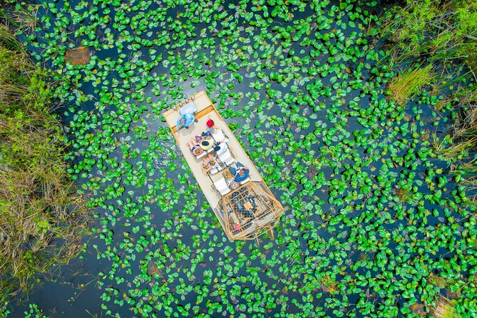 60 min. Everglades Airboat ride & pick-up ,small group +pro guide - Alligator sightings depend on the day