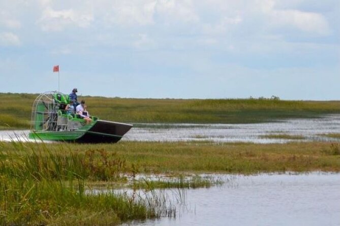 60 Minutes Small Group Everglades Airboat Ride in Miami - Looking for alligators in the back river