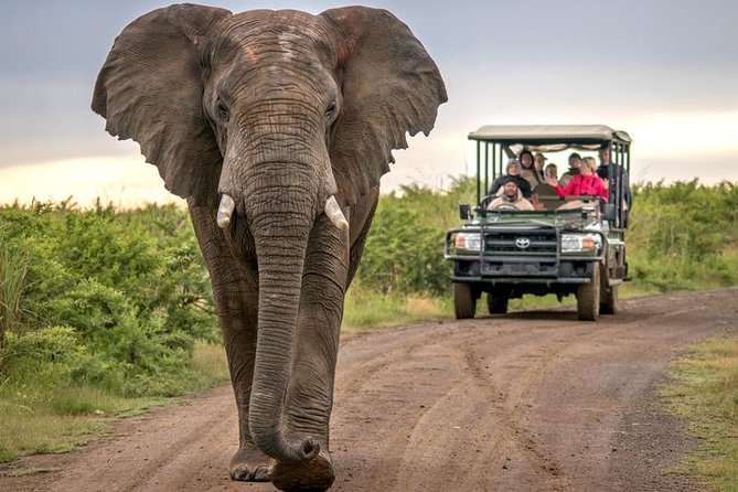 7 Day Garden Route to Addo, Cape Point and Winelands Combo tour - Day 5: Returning west through the Garden Route