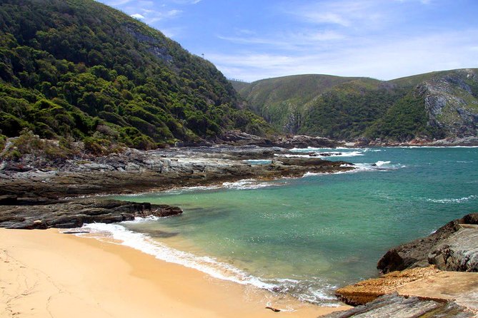 7 Day Garden Route to Addo, Cape Point and Winelands Combo tour - Day 7: Chapman’s Peak, Cape Point, and African penguins