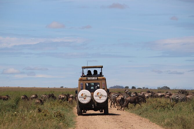 9-Day Serengeti Migration Footsteps Tanzania Safari - Days 4 and 5: North to the Mara River