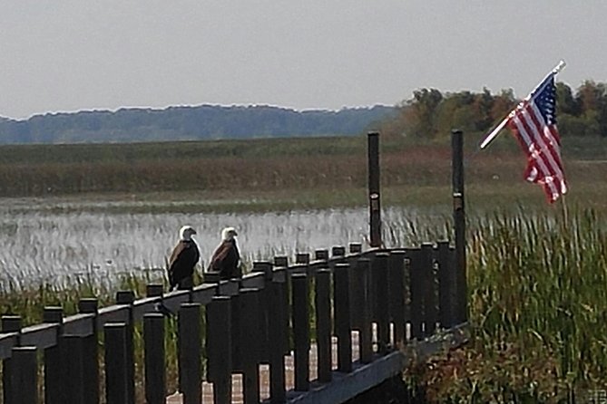 90 minute Everglades Airboat Tour near Orlando Florida - What happens during the 90-minute marsh ride