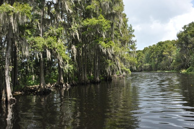 90 minute Everglades Airboat Tour near Orlando Florida - The captains shape the experience