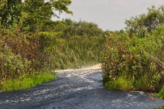 90 minute Everglades Airboat Tour near Orlando Florida - The 2830 Neptune Road meeting point