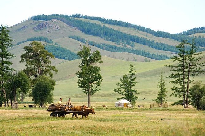 A day trip to Terelj National Park and Statue of Chinggis Khan - From Ulaanbaatar traffic to the open country