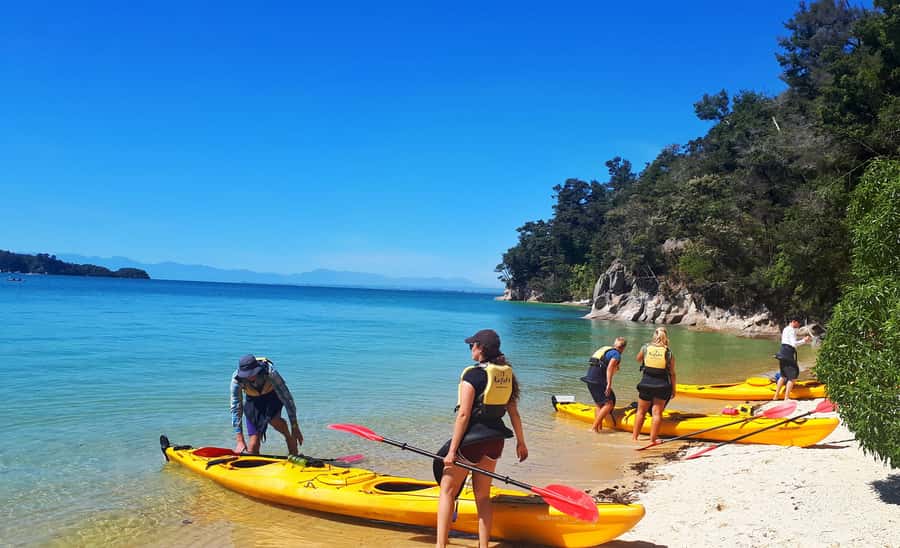 Abel Tasman Kayaks: 1 Day Freedom Kayak Rental - Adele Island and the sound of birds