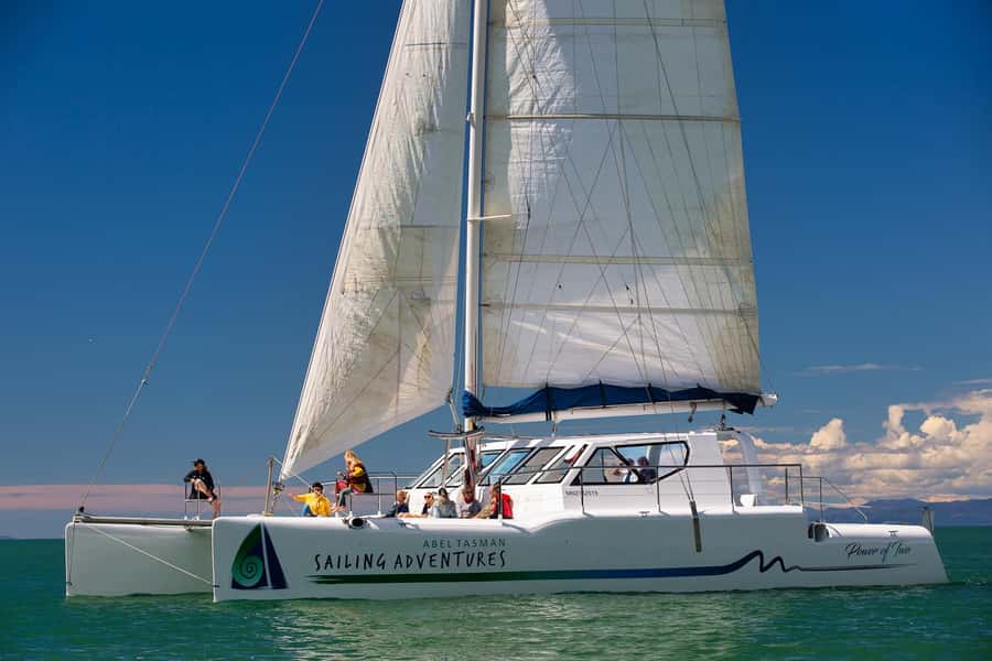 Abel Tasman National Park: Cruise, Walk & Sailing Tour - Wildlife along the Abel Tasman coast
