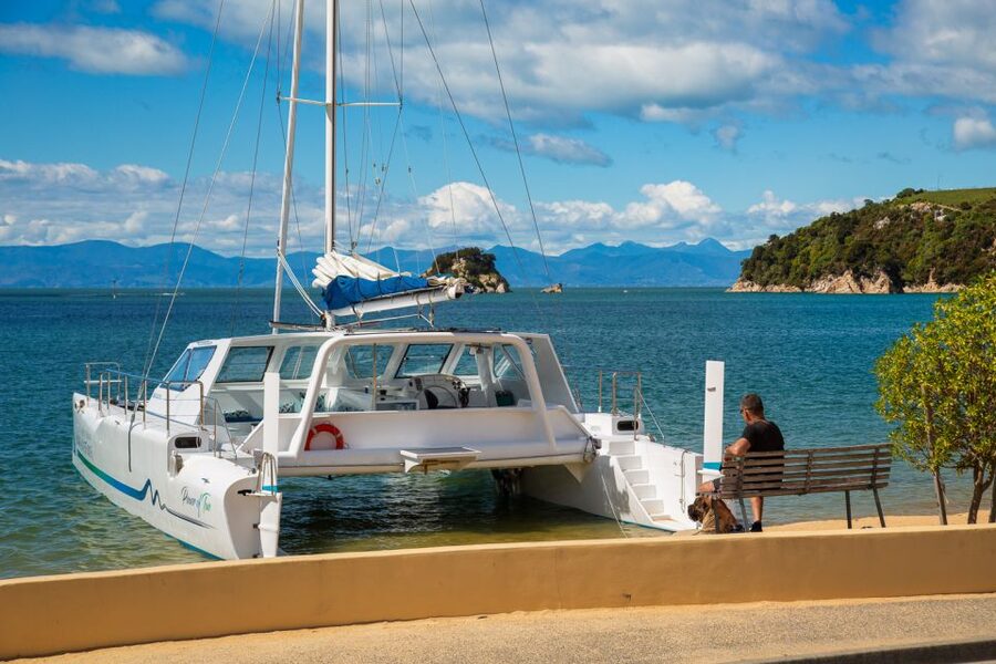 Abel Tasman National Park: Day Sailing Adventure with Lunch - Is $158 good value?