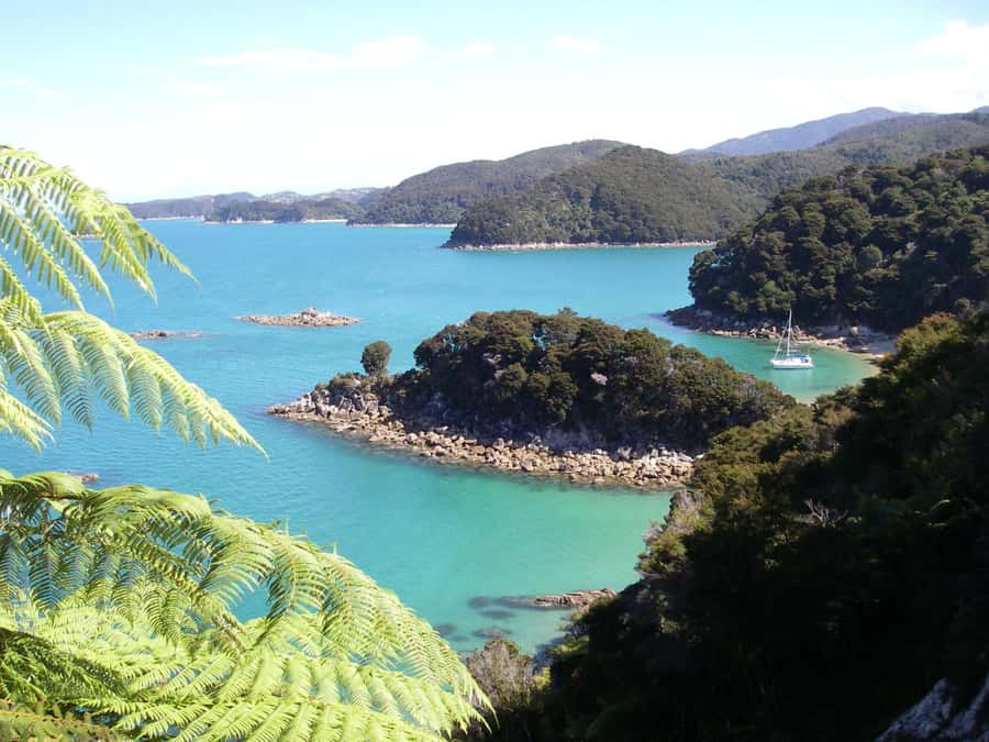 Abel Tasman National Park: Sailing and Self-Guided Walk - Two and a half hours along the Abel Tasman coast