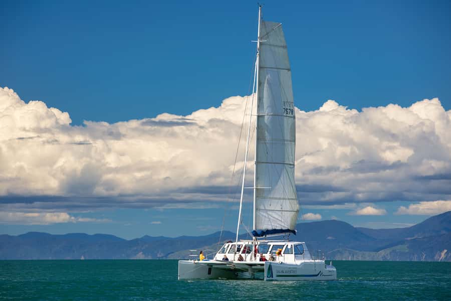 Abel Tasman National Park: Self-Guided Walk & Sailing - Reaching Anchorage Beach before 1:30 pm