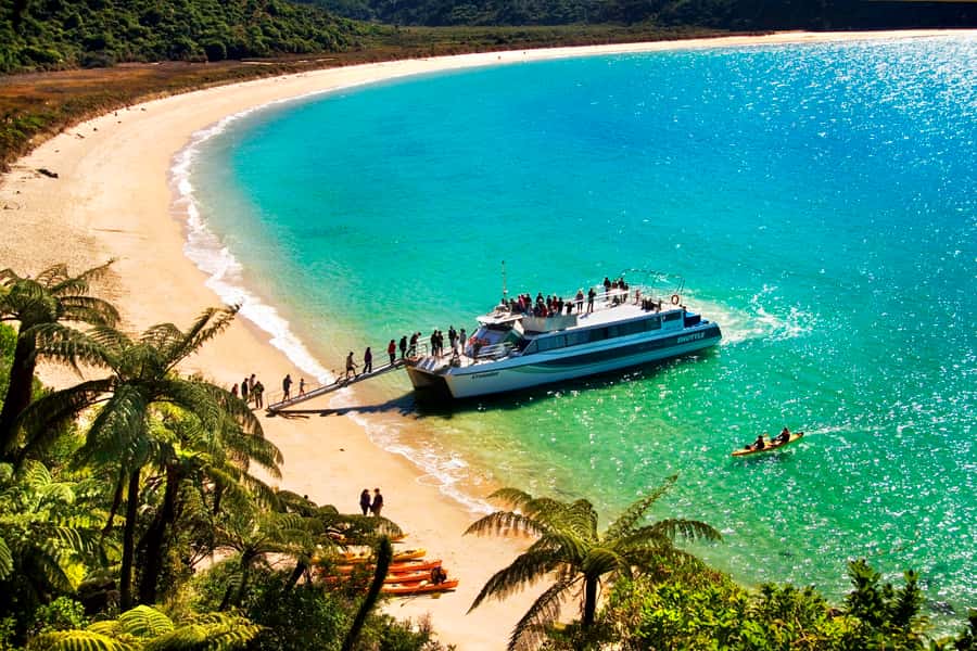 Abel Tasman: Sea Shuttle Cruise and Walking Tour Combo - Key points to know before you go