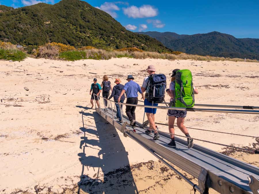 Abel Tasman: Sea Shuttle Cruise and Walking Tour Combo - What the cruise is really like