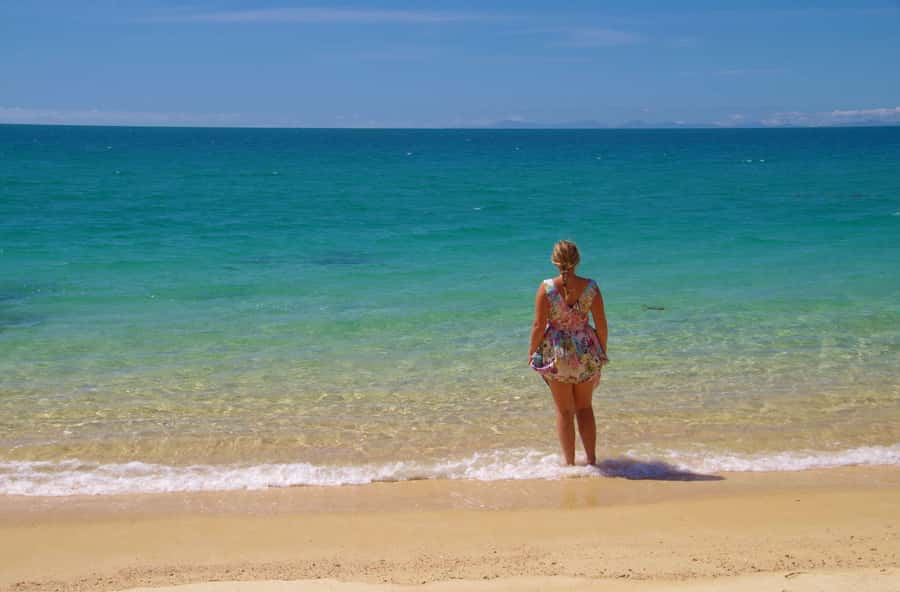 Abel Tasman: Sea Shuttle Cruise and Walking Tour Combo - What is included for $74