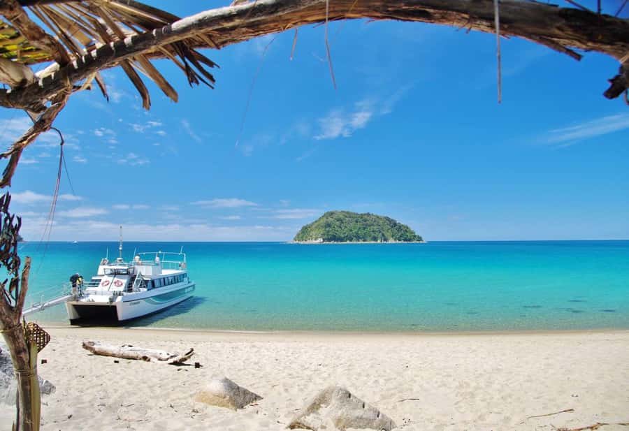 Abel Tasman: Sea Shuttle Cruise and Walking Tour Combo - Meeting point and useful preparation