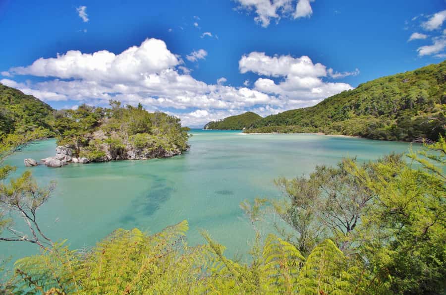 Abel Tasman: Sea Shuttle Cruise and Walking Tour Combo - Who should book this Abel Tasman day out?