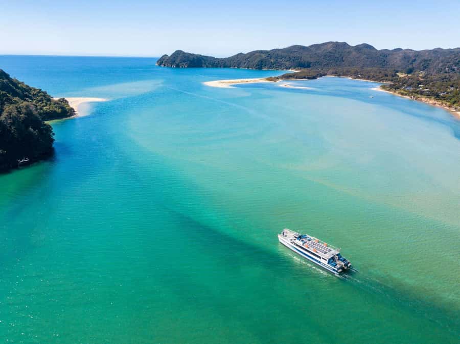 Abel Tasman: Sea Shuttle Cruise and Walking Tour Combo - Option A: Apple Tree Bay to Anchorage in 7 kilometers