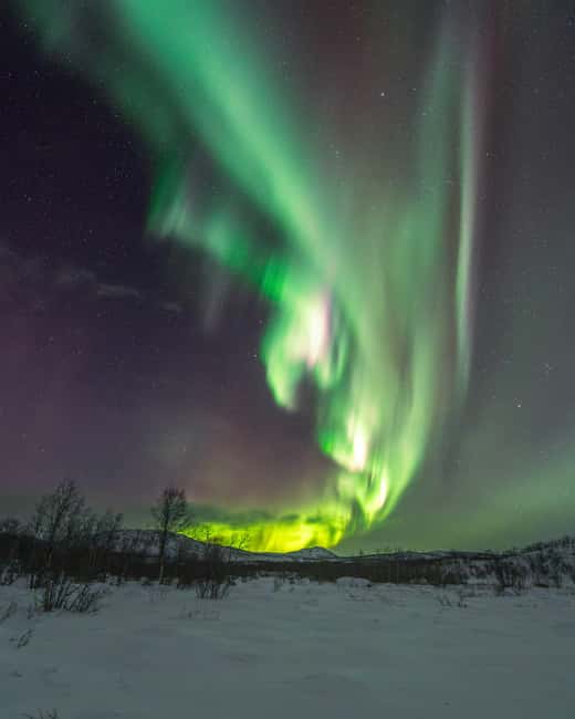 Abisko: Aurora Car Chasing Tour with Photographer - My call: book it if photos matter