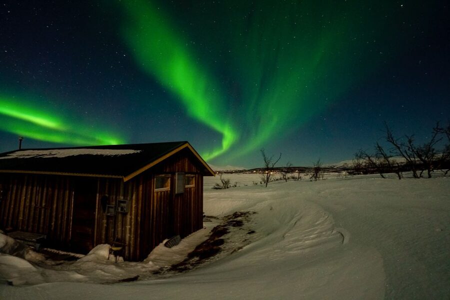 Abisko: Aurora Snowshoeing - Key points to know before booking