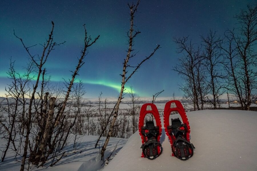 Abisko: Aurora Snowshoeing - Warm berry juice in the quiet