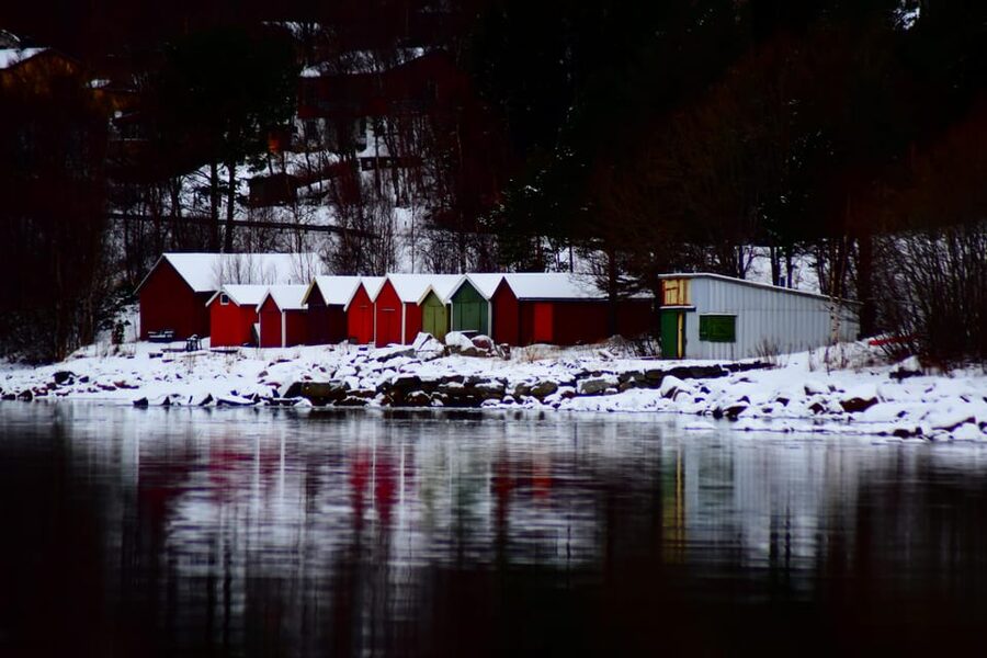 Abisko: Fjord Sightseeing and Photography Tour - Photography without needing professional equipment