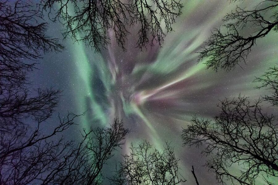 Abisko: Guided Autumn Aurora Chase with Hotel Transfers - Key points to know before you book