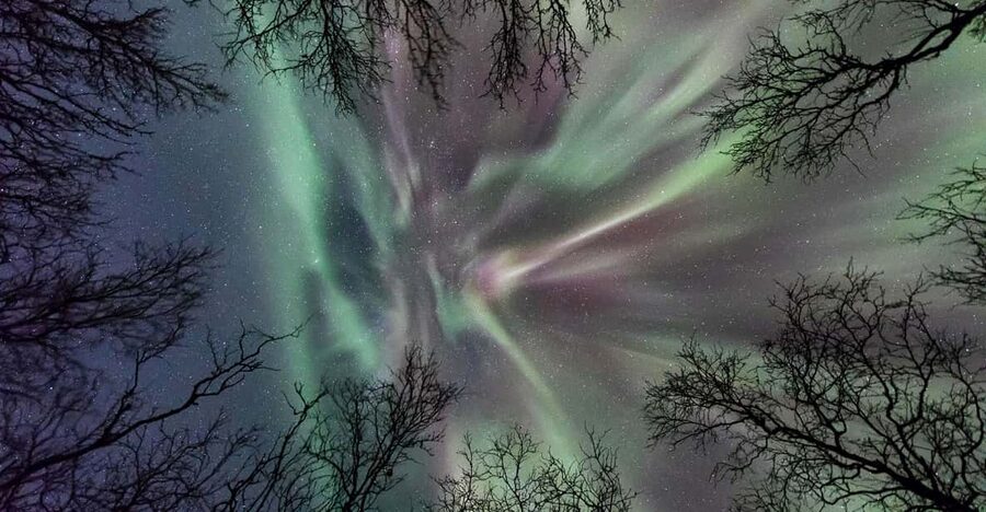 Abisko: Guided Autumn Aurora Chase with Hotel Transfers - Who will enjoy this tour most